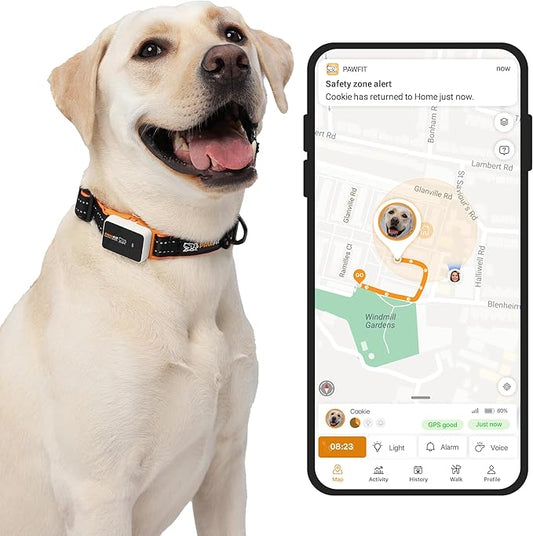 Pawfit 3 GPS Pet Tracker GPS Dog Tracker 4G Live Tracking, Smart Alerts, Fully Waterproof Activity Monitor for Pets, Unlimited Range, Remote Voice Recall, Fits All Collars, 30 Day Free Subscription