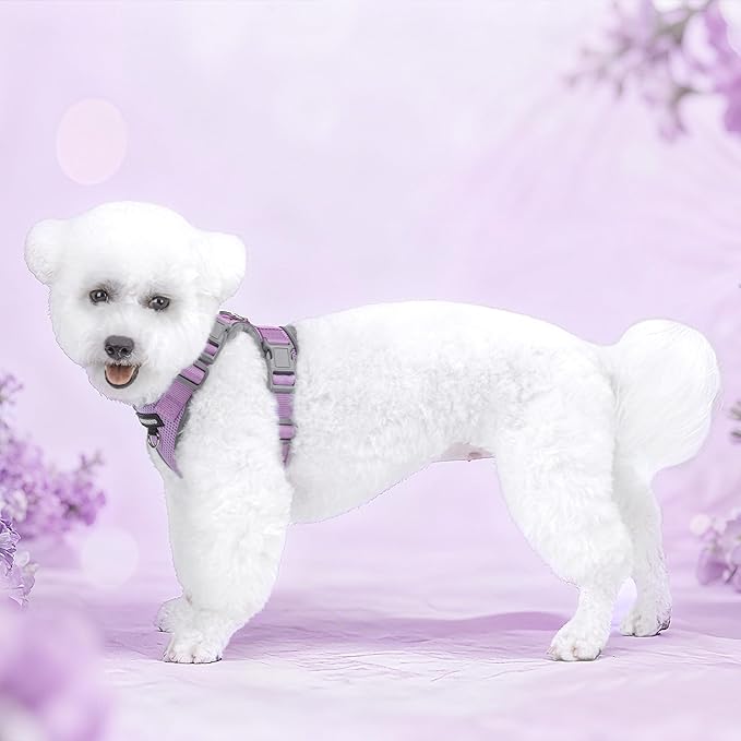 Small Dog Harness and Leash Set, No Pull Adjustable Pet Harness for Small Dogs, Breathable Mesh Rflective Dog Vest Harness (Light Purple, XXS)