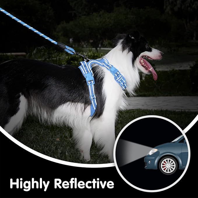 PoyPet No Pull Dog Harness and 5 Feet Leash Set, Release on Neck Reflective Adjustable Pet Vest, Front & Back 2 D-Ring and Soft Padded Pet Harness with Handle for Small to Large Dogs(Light Blue,L)