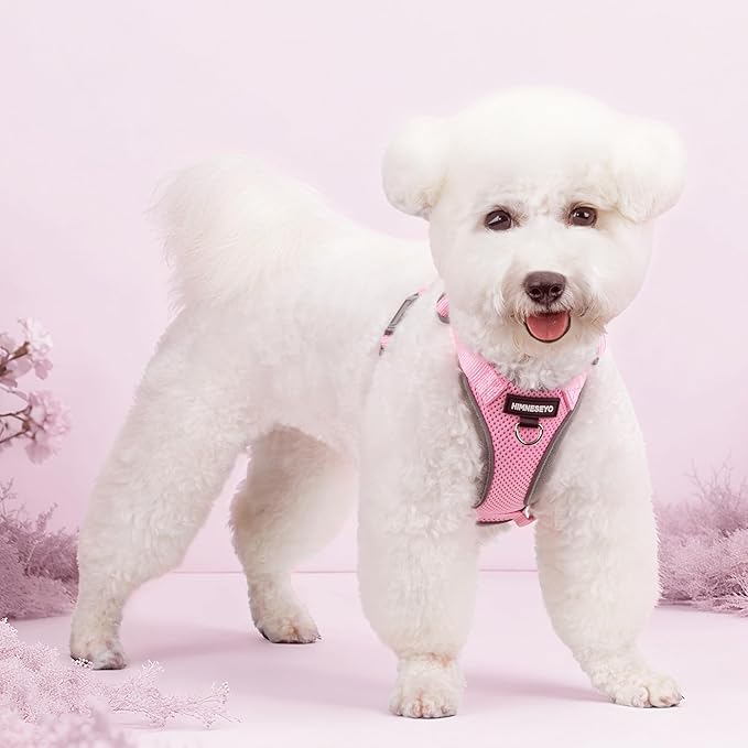 Small Dog Harness and Leash Set, No Pull Adjustable Pet Harness for Small Dogs, Breathable Mesh Rflective Dog Vest Harness (Pink, XS)