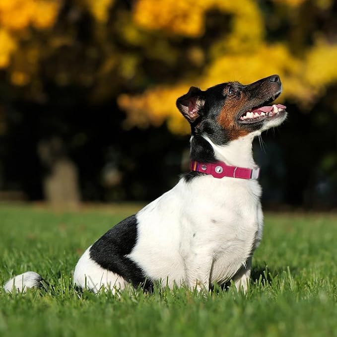 AirTag Dog Collar for Small Medium Large Breed - Adjustable Cute Pattern Dog Collar with Airtag Holder - Soft Leather Tracker GPS Apple Air Tag Pet Collars (Medium, 14"-18" Neck Fit, Striped)