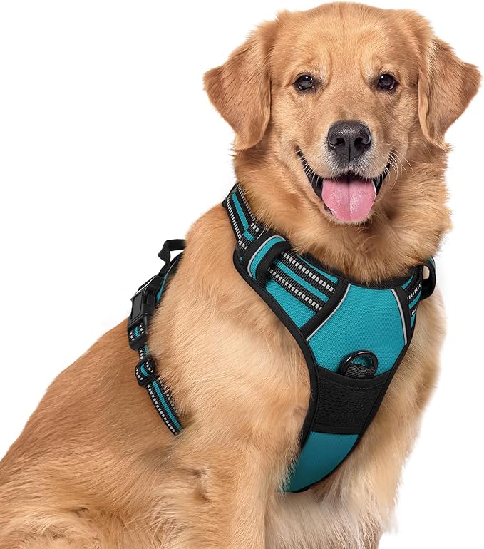 rabbitgoo Dog Harness No Pull with 2 Leash Clips, Adjustable Soft Padded, Reflective Oxford No Choke Pet Vest with Easy Control Handle for Large Dogs, Teal, XL