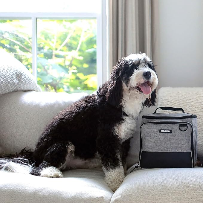 Large 7-Piece Bistro Box Dog Food Travel Kit, 12-Cup Kibble Storage, 2 Silicone Bowls, Mat & Scoop - Premium Portable Pet Food Kit for Weekends, Overnights, Daycare & Camping, Heather Grey