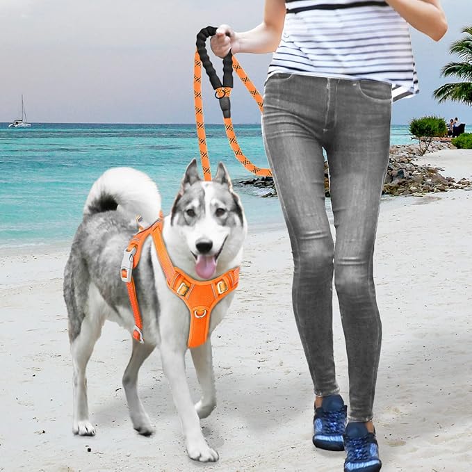 BARKBAY No Pull Dog Harness Large Reflective Dog Harness with Front Clip and Easy Control Handle for Walking Training Running with ID tag Pocket(Orange,M)