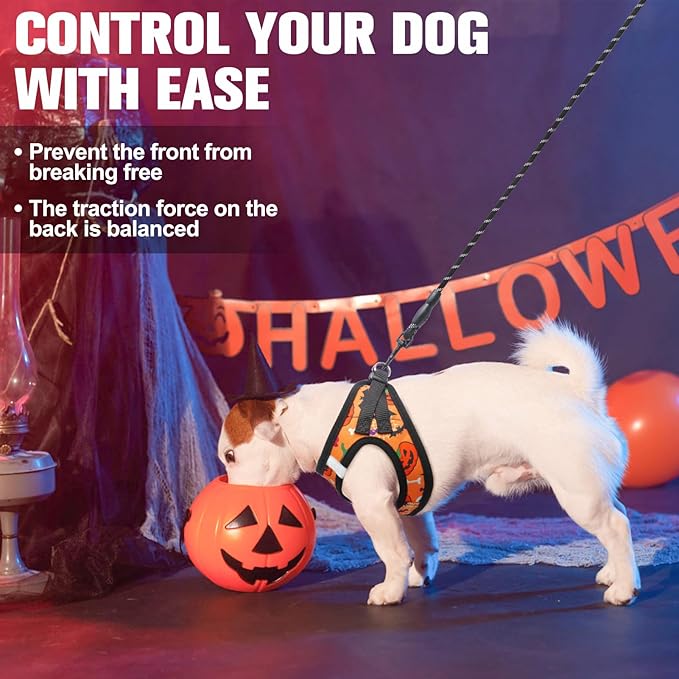 BEAUTYZOO Step in Dog Harness and Leash Set,Floral Pattern Reflective Dog Harness No Pull No Choke Puppy Harness for Medium Dogs Cats,Soft Padded Mesh Vest Harnesses for Girl and Boy Pets, Halloween M