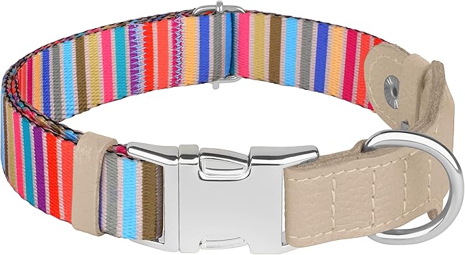 AirTag Dog Collar for Small Medium Large Breed - Adjustable Cute Pattern Dog Collar with Airtag Holder - Soft Leather Tracker GPS Apple Air Tag Pet Collars (Medium, 14"-18" Neck Fit, Serape)