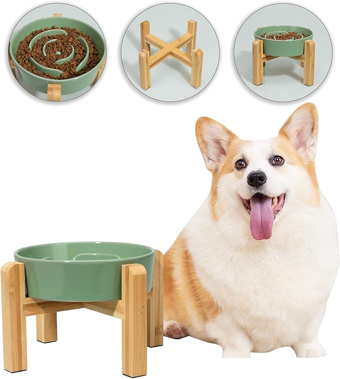 Elevated Slow Feeder Dog Bowl - Ceramic Maze Food Dish with Bamboo Stand - Raised Feeding Bowl for Fast Eaters - Ideal for Small and Medium Dogs - Green - 6.7 inch