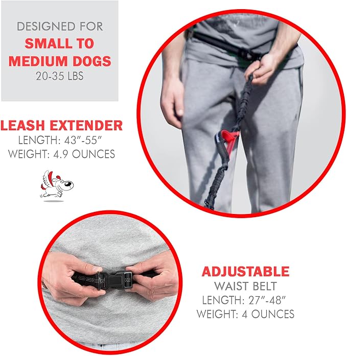 Exquisite Hands-Free Leash for Medium Dogs: Perfect for Active Pet Owners Comfortable, Durable & Ideal for Running, Walking, Hiking. Premium Dog Waist Leash with Bungee. Must-Have Dog Gear
