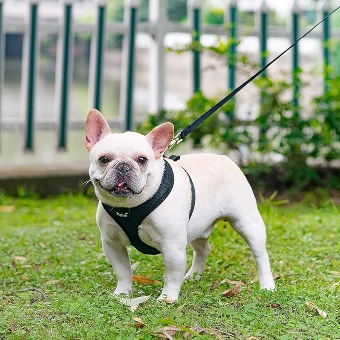 PUPTECK Soft Mesh Dog Harness and Leash Set Pet Puppy Cat Comfort Padded Vest No Pull Harnesses, Solid Black, L