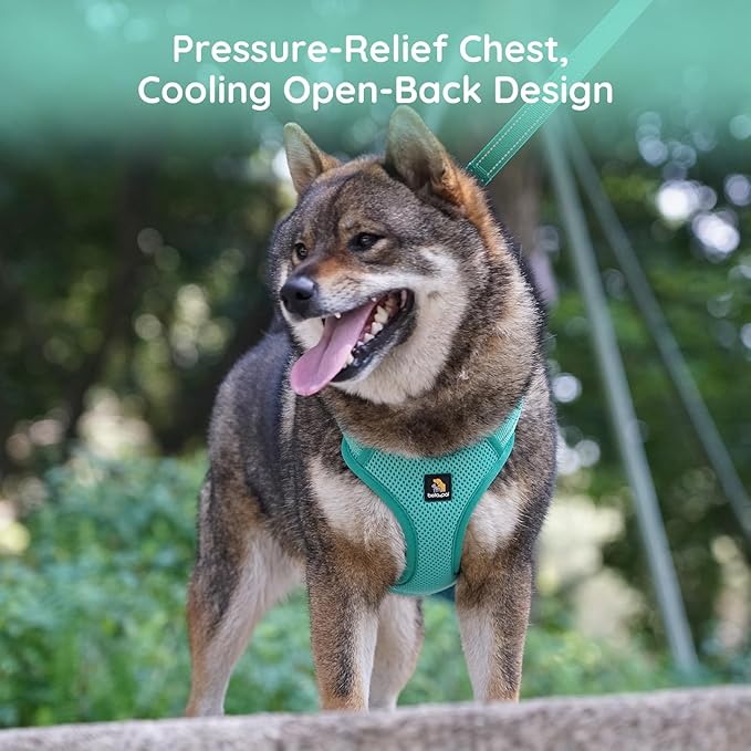 BELLA & PAL Adjustable Step-in Dog Harness, Puppy No-Pull Vest with Leash Set for XS/Small & Medium Dog, Breathable All-Weather Mesh, Reflective Strip, Secure Hook & Loop, Buckle Closure