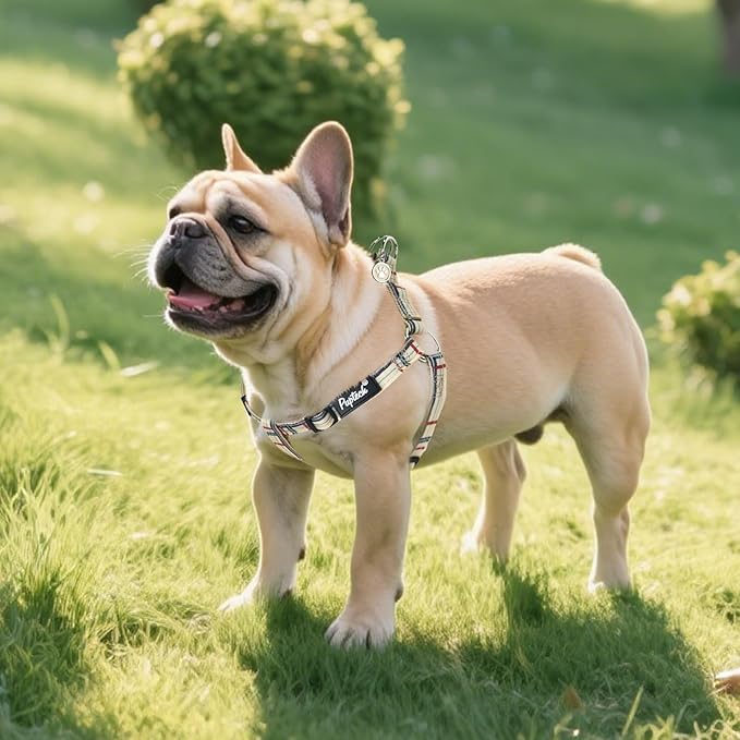 PUPTECK No Pull Dog Harness Soft Adjustable Basic Nylon Step in Puppy Vest Outdoor Walking with ID Tag, Plaid Beige, M