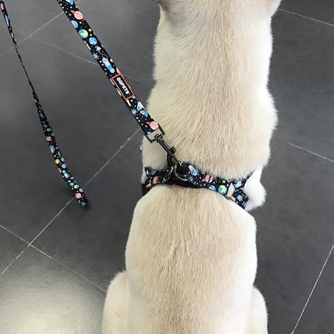 QQPETS Dog Harness Leash Set Adjustable Heavy Duty No Pull Halter Harnesses for Small Medium Large Breed Dogs Back Clip Anti-Twist Perfect for Walking (S(14"-20" Chest Girth), Space)