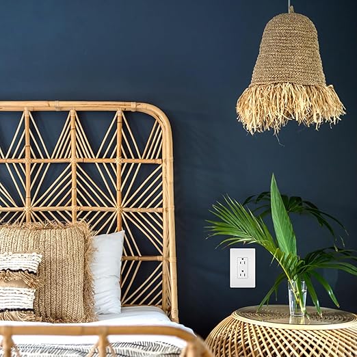 Legrand radiant 885WCC21 15 Amp Decorator Duplex Outlet, Side Wire or Push Wire, White (1 Count)