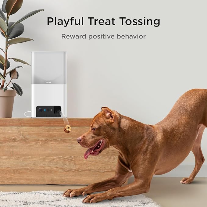Petcube Bites 2 Lite Interactive WiFi Pet Monitoring Camera with Phone App and Treat Dispenser, 1080p HD Video, Night Vision, Two-Way Audio, Sound and Motion Alerts, Cat and Dog Monitor
