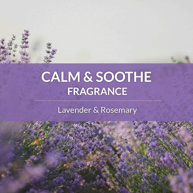 Skout's Honor Probiotic Pet Detangler Spray - Hydrating & Conditioning with Avocado Oil, 97% Natural, Paraben & Sulfate-Free, softens for a More brushable Coat, Daily Use, 8oz, Lavender, 2-Pack