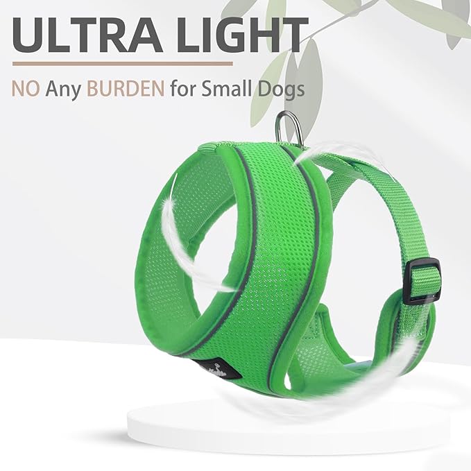 PUPTECK Soft Mesh Dog Harness and Leash Set Pet Puppy Cat Comfort Padded Vest No Pull Harnesses, Solid Green, M