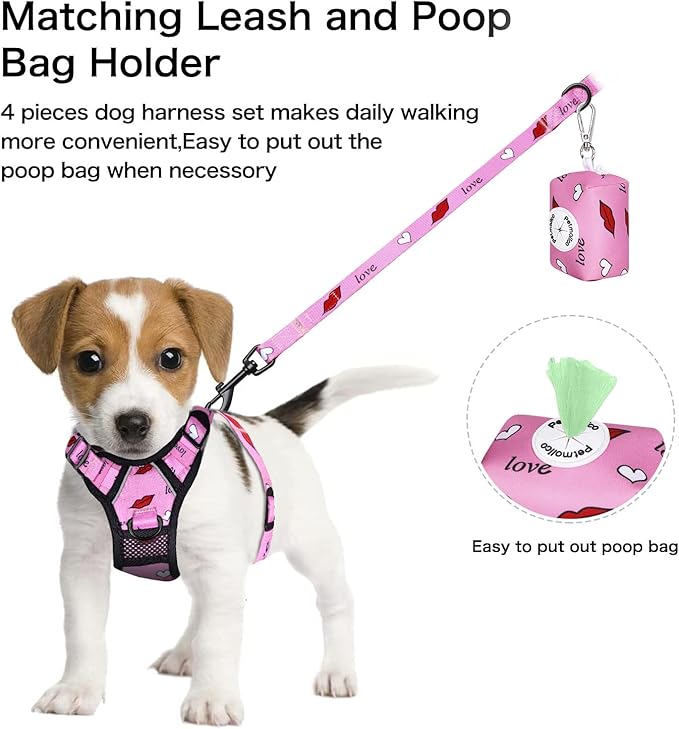 Petmolico No Pull Dog Harness Set with Leash Attachment Easy Control Handle Reflective Harness Vest Small Breed, Puppy Vest and Leash Set with Poop Bag Holder, Small - Red Lips