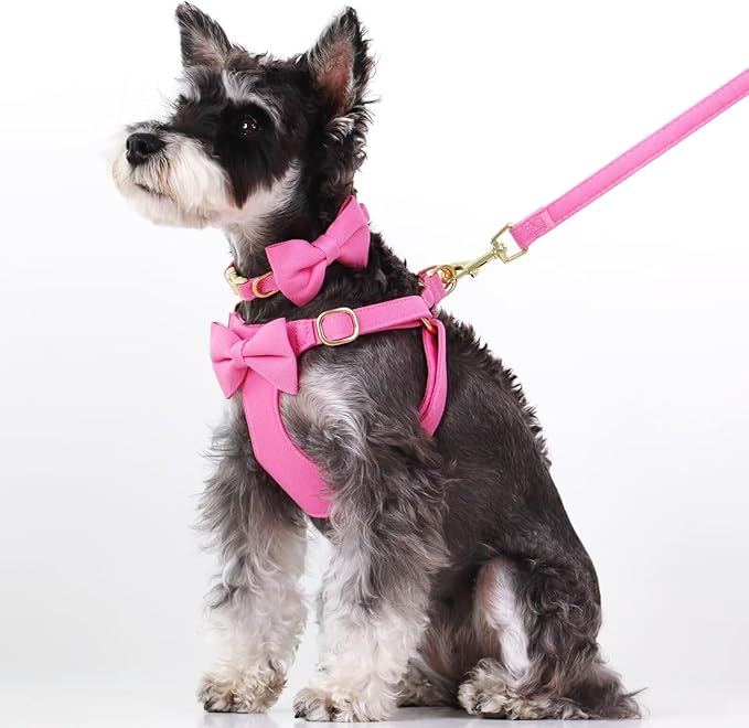 Beirui Cute Small Dog Harness Set with Three Detachable Bows, Adjustable Step in Dog Harness Collar and Leash Set with Secure Metal Buckle for Daily Walking, Parties & Holiday Outfits(Hot Pink,S)