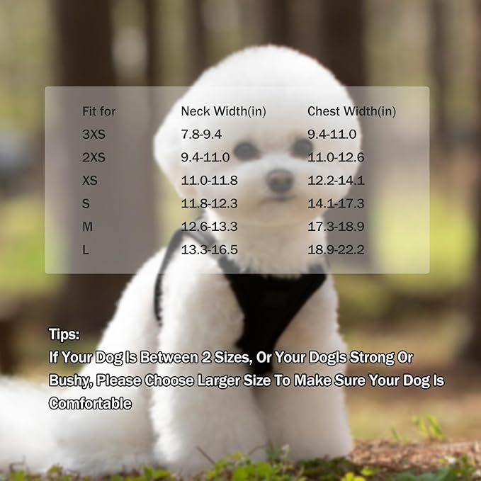 Dog Harness and Leash Set, No Pull Mesh Puppy Harness for Small Medium Sized Dogs, Pet Vest for Walking Running Training, Double D-Rings Reflective Strip