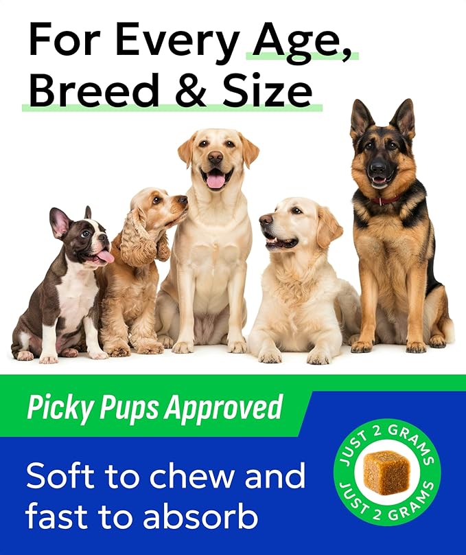 BARK&SPARK Glucosamine Chondroitin Dog Hip & Joint Supplement - Joint Pain Relief - Hip & Joint Chews - Joint Support Large Small Breed - Senior Doggie Vitamin Pill Joint Health (120 Treats - Bacon)