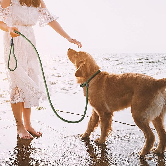 TwoEar Slip Leads for Dogs, 1/2" x 6FT Slip Leash for Large Dogs with Highly Reflective Threads, Comfortable Strong Rope Slip Leads, No Pull Pet Training Leash, Green