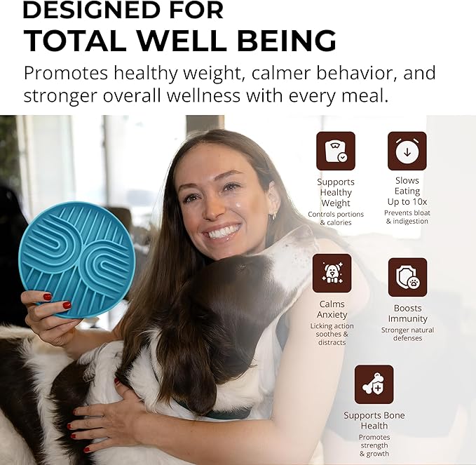 Slow Feeder Dog Bowls, Dishwasher Safe, Non-Slip Base, BPA-Free Slow Eating Dog Bowl (Blue, 1-Pack)