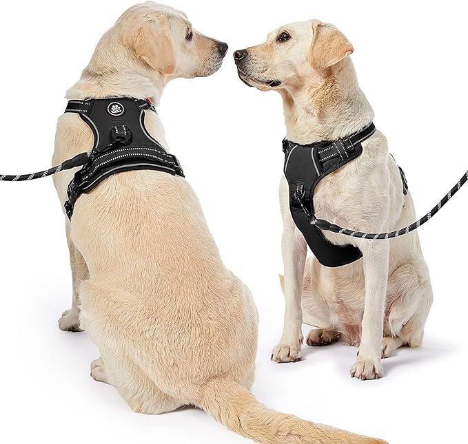 NESTROAD No Pull Dog Harness,Adjustable Oxford Dog Vest Harness with Leash,Reflective No-Choke Pet Harness with Easy Control Soft Handle for Small Dogs(Small,Black)