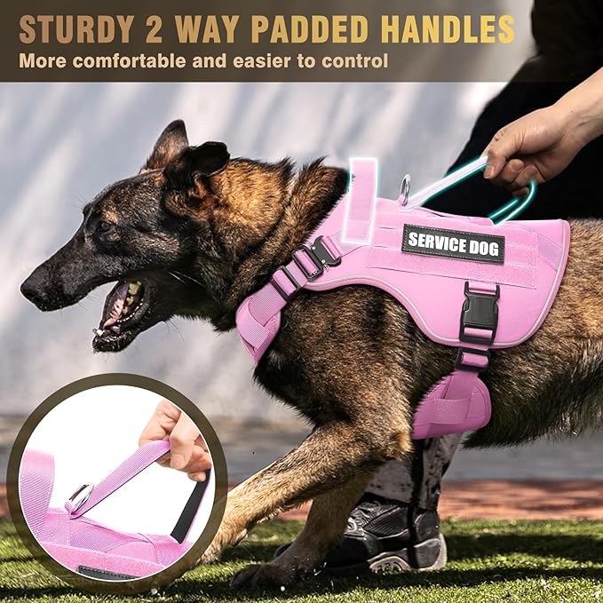 WINSEE Tactical Dog Harness for Large Dog, Heavy Duty Service Dog MOLLE Vest with 10 Pet Patches, No Pull Military Working Vest for Training Hunting Walking