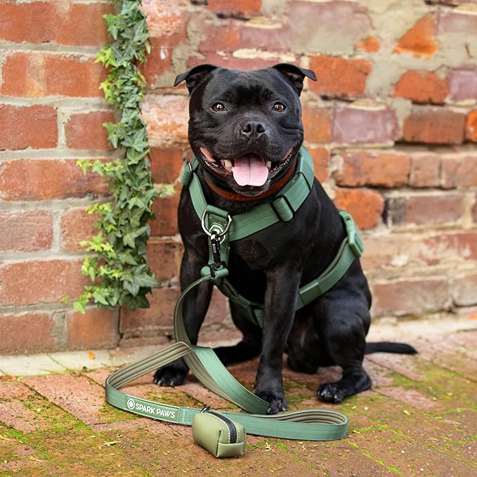 Spark Paws No Pull Dog Harness for Large Dogs, Heavy Duty Dog Harness for Big Strong Breeds, Adjustable, Y Shaped Padded Halter Design with Front Clip - Solid Green – M
