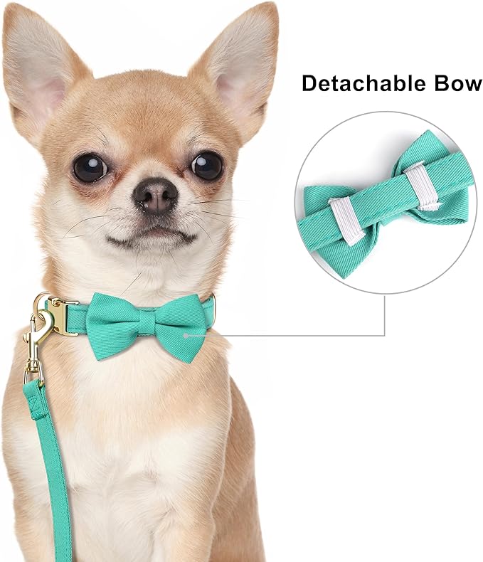 Beirui Cute XXS Dog Harness Set with Three Detachable Bows, Adjustable Step in Dog Harness Collar and Leash Set with Secure Metal Buckle for Daily Walking, Parties & Holiday Outfits(Teal,XXS)