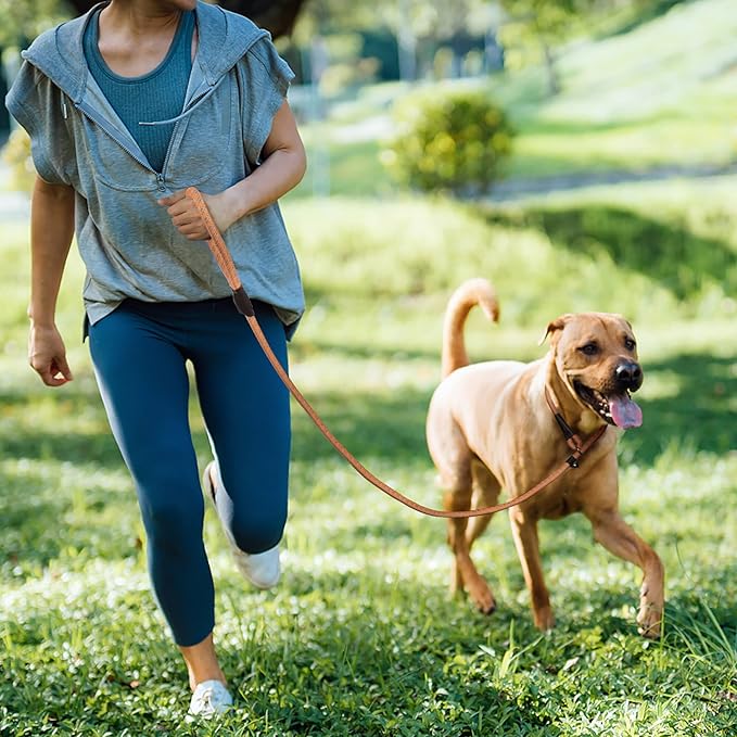 TwoEar Slip Leads for Dogs, 1/2" x 6FT Slip Leash for Large Dogs with Highly Reflective Threads, Comfortable Strong Rope Slip Leads, No Pull Pet Training Leash, Orange