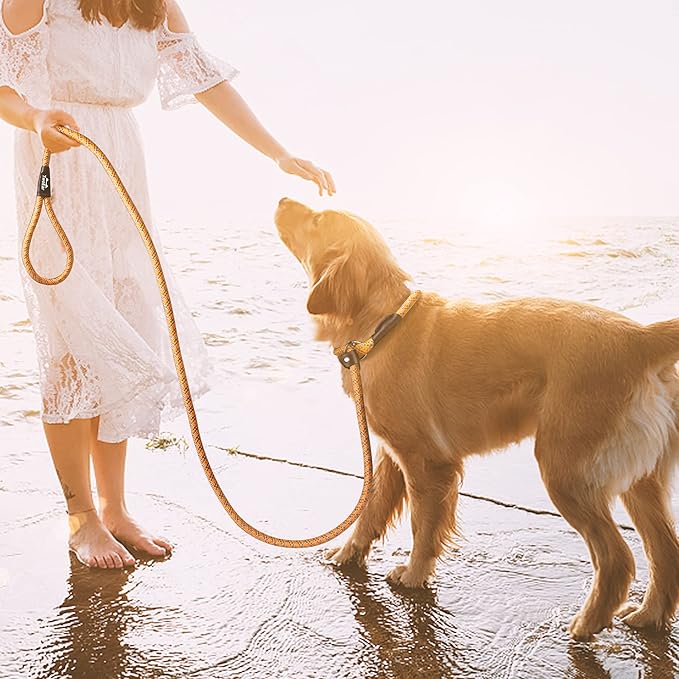 TwoEar Slip Leads for Dogs, 1/2" x 6FT Slip Leash for Large Dogs with Highly Reflective Threads, Comfortable Strong Rope Slip Leads, No Pull Pet Training Leash, Orange