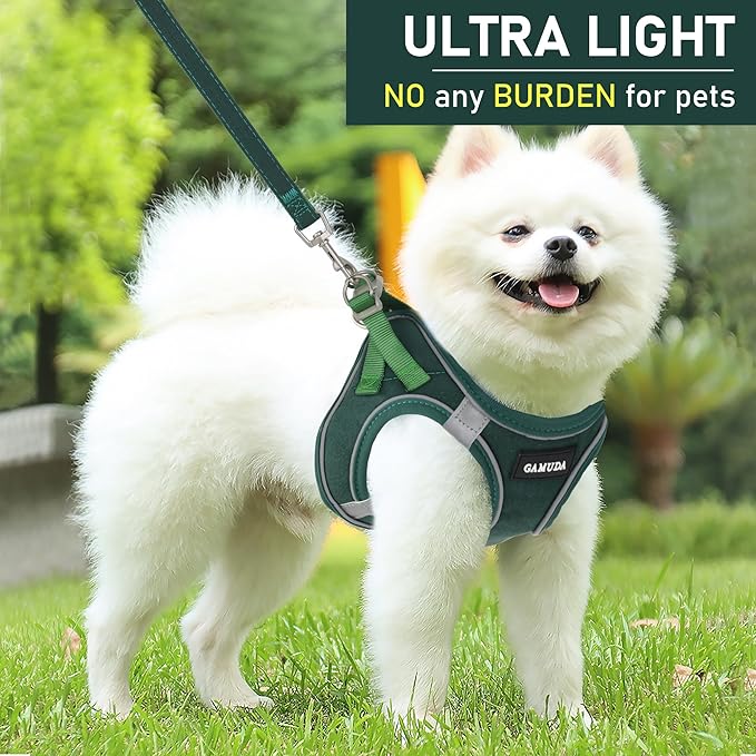 GAMUDA Small Pet Harness Collar and Leash Set, Step in No Chock No Pull Linen Fabric Soft Mesh Dog Vest Harnesses Reflective for Dogs Puppy Cats Kitten Rabbit (Green, XXS)