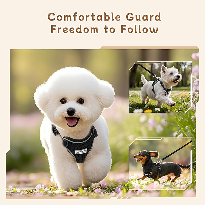 Small Dog Harness and Leash Set, Reflective Soft Breathable Mesh Vest, 3 Buckles, Adjustable Neck and Chest,Step in Dog Harness for Walking, Running, Training, Black, M