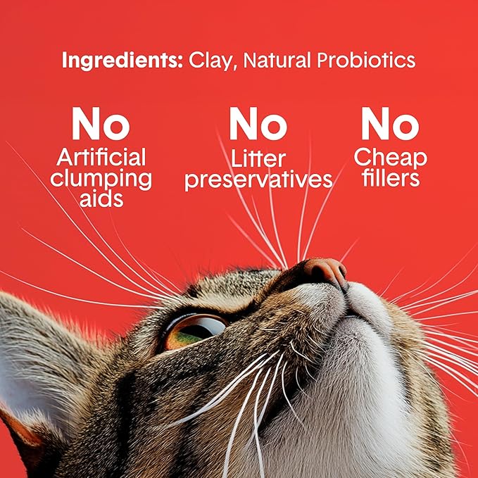 Boxie Extra Strength 35 Day Odor Control Clumping Clay Cat & Kitty Litter 40lb, 99.9% Dust-Free, Probiotic Formula, Long-Lasting, Veterinarian Approved, Easy Scooping for Multi-Cat Homes