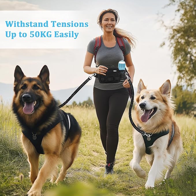 ETACCU Hands Free Dog Leash with Zipper Pouch, Waist Belt for Large Medium 2 Dogs for Running, Walking, Jogging and Hiking, Dual Padded Handles and Durable Bungee - Black