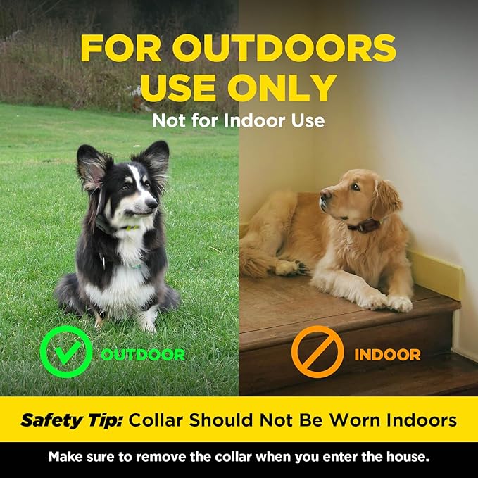 Dogtra Training Flags for GPS Fence – 50-Pack Neon Orange Boundary Markers – Flexible, Weather-Resistant Yard Flags for Invisible Fence Training, Pet Containment, and Safe Outdoor Dog Fence Setup