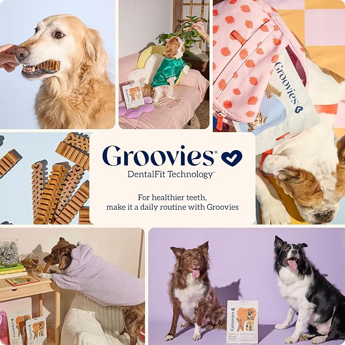 Groovies Slightly Softer, Yet Flexible Dental Chew for Senior Dogs & Delicate Chewers. Powered by USA-Patented DentalFit Tech. No Added Gluten, No Artificial Flavors or Colors. 6oz Large (6Chews)