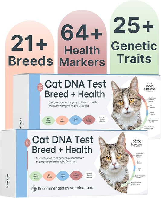 Basepaws Cat DNA Test Kit 2 Pack- Comprehensive Breed, Health and Dental Analysis Across 114 Traits for Accurate and Easy-to-Use Genetic Insights