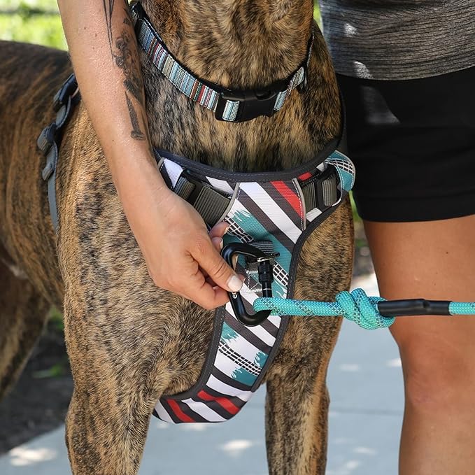 Embark Adventure Dog Harness, Reflective Trim No Pull Dog Harnesses for Small Sized Dogs - Military Grade Nylon, Front Clip with Gel Lined Handle.