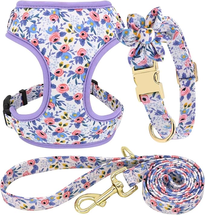 Beirui Cute Girl Dog Collars, Harnesses & Leashes Set - Adjustable Dog Collar and Leash Set with Flower - Soft Mesh Dog Vest Harness for Puppies Small Medium Dogs (Blue,S)