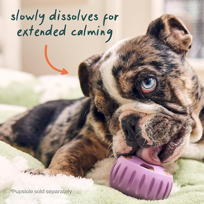 WOOF Pupsicle Refill Pops for Calming - Long-Lasting Refills for The Pupsicle Toy to Promote Calm - Calming Dog Treats - Magnesium for Dogs- Small Pops - 10 Count- 2 Pack