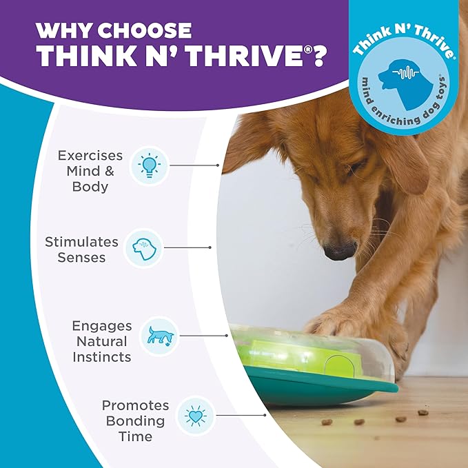 Outward Hound Nina Ottosson Wobble Bowl Dog Game -Interactive Slow Feeder Bowl Dog Game