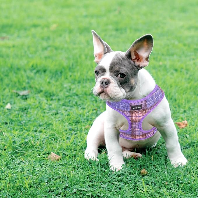 SCENEREAL Puppy Dog Harness with Leash Set for Small Medium Sized Dogs, Soft Mesh Step in Pet Harnesses and Leash, No Chock Plaid Adjustable No Pull Vest for Dogs Cats, Chihuahua,Bulldog (Purple S)