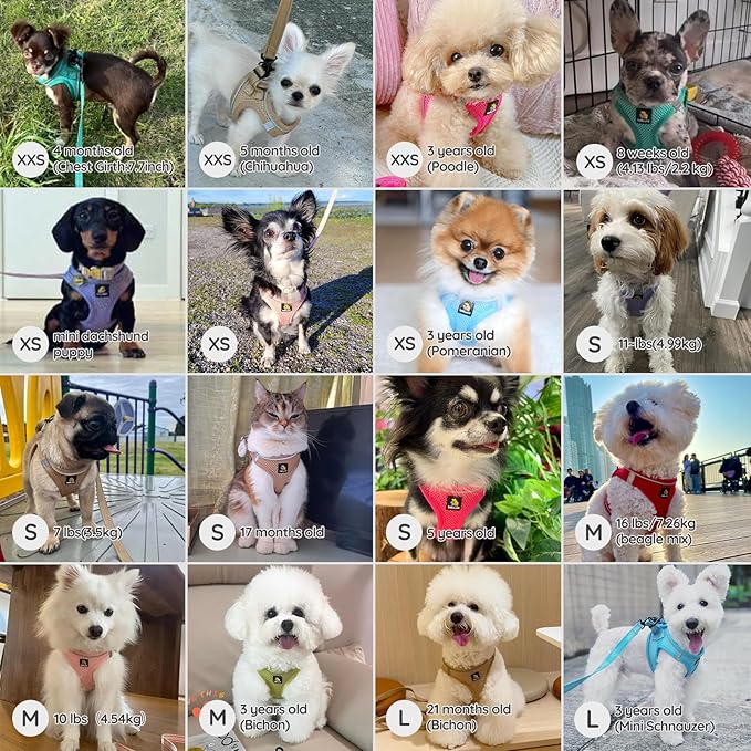 BELLA & PAL Step in Vest Harness for Small and Medium Dogs, No Pull Small Dog Harness with Leash Set, Comfortable Air Mesh Dog Vest Harness with Reflective Strip (Red, S)