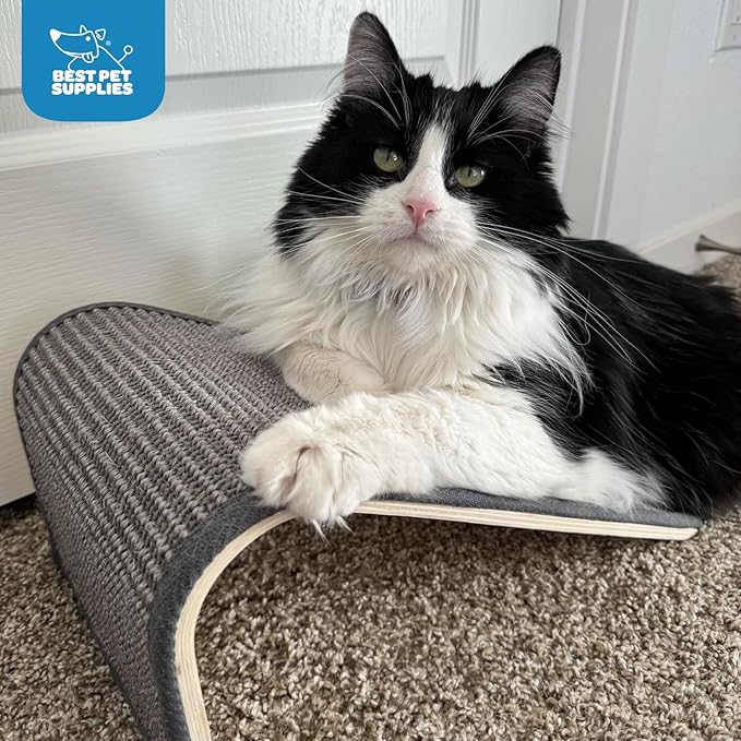 Best Pet Supplies Catify Cat Scratcher, Fun Interactive Scratchers, Posts, Poles, Claw Safe, Furniture Saver Indoor Play Support Natural Cat Behaviors Heavy Duty - Ramp (Cream)