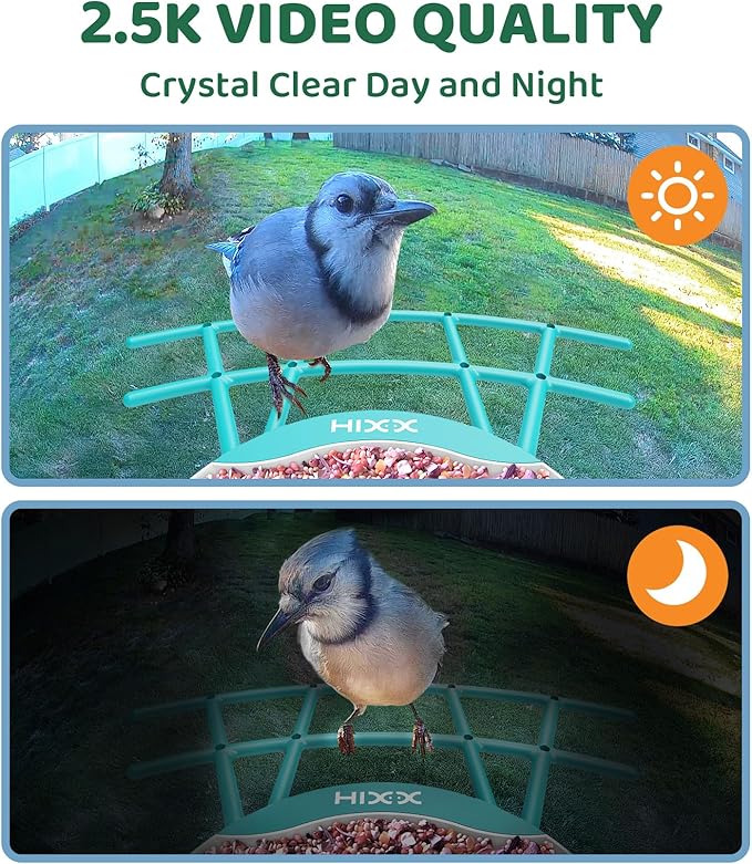 HIXX Smart Bird Feeder with Camera, AI Identify Birds & Auto Capture, 2K HD Live Camera Birdwatching with Color Night Vision for Bird Lovers Gifts (Pea Green)