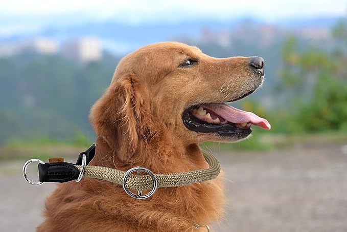 Braided Round Martingale Dog Collar, Training Collar with Slidable Stop Ring - Ideal for Medium/Large Dogs (M+(1/2") - 18" Long, Khaki)