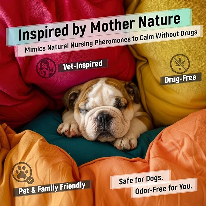 Dog Calming Diffuser