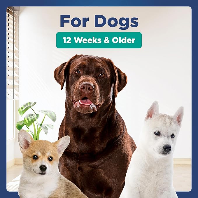 Hypoallergenic Flea and Tick Relief 16.9oz Dog Shampoo for Sensitive Skin Mite Me Not Formula for Itchy and Dry Coats Deep Cleansing and Moisturizing Pet Wash for Dogs and Puppies 500ml